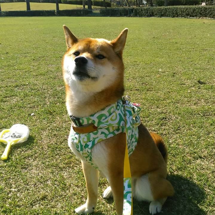 3a0cc9d1 40be 410c ac64 8709452e03d9