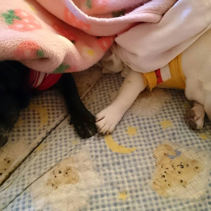 3a0d95f0 58b4 43eb a56c 8e9ec7e43697