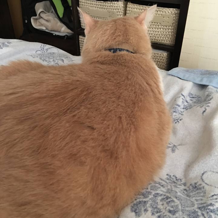 3a0dcb21 e37a 4218 af09 a6d0a082f489