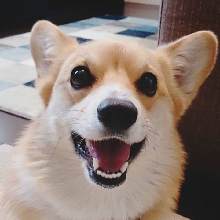 3a0dde15 1fcc 40c1 9cd6 b24d9a72a9a0