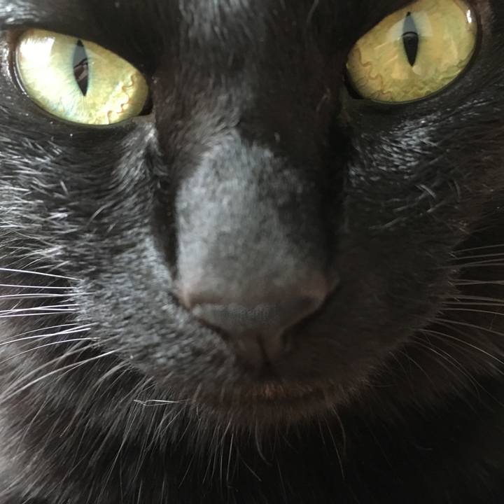 3a0e3716 6c78 4bb0 89ae a4a4bb262d9b