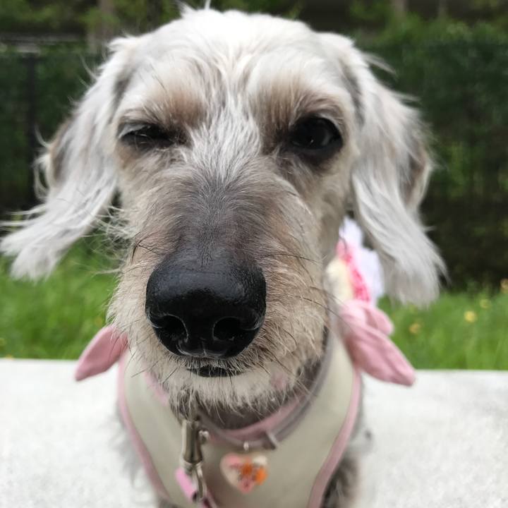 3a0e3b23 2b49 4362 a91b 7e8a4477ff39