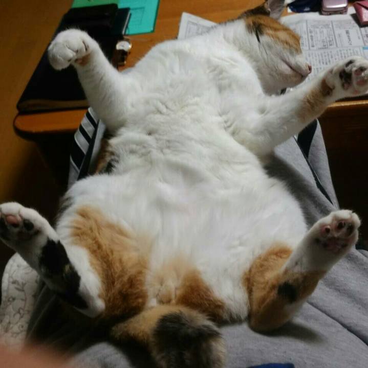 3a0eaeac 8315 4537 bc1a 6e9c8a9e6d0b