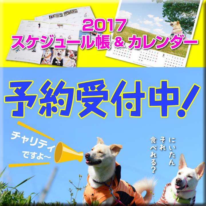 3a0ecebd 3232 4672 a859 c4b3130c6dfa