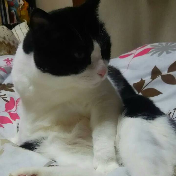 3a0efff3 4da1 481d 8667 5bebf24cb4e0