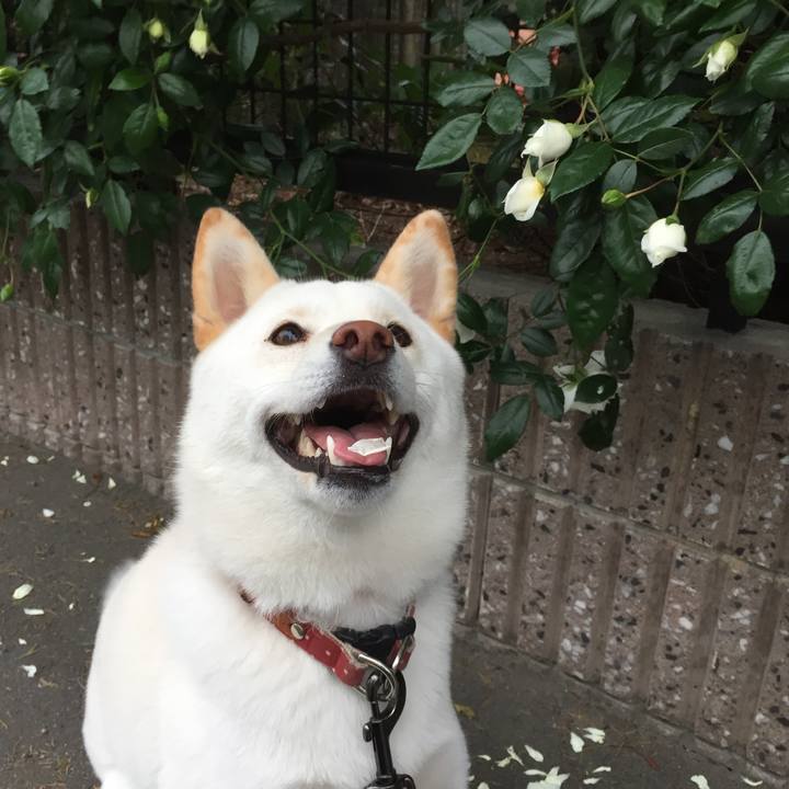 3a0f59e6 f597 4ced 8bfc 6c285c6b26f3