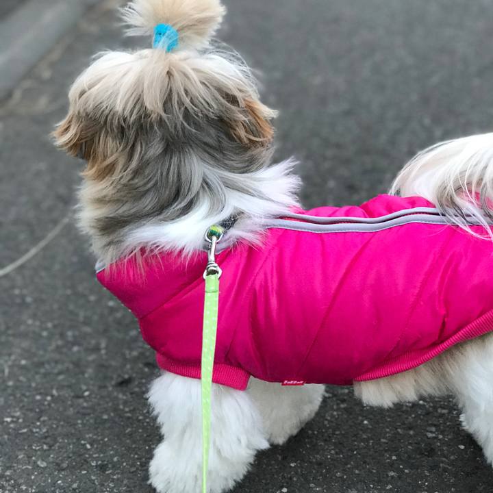 3a0fd154 38ed 41c4 bb63 0afdcf51b663