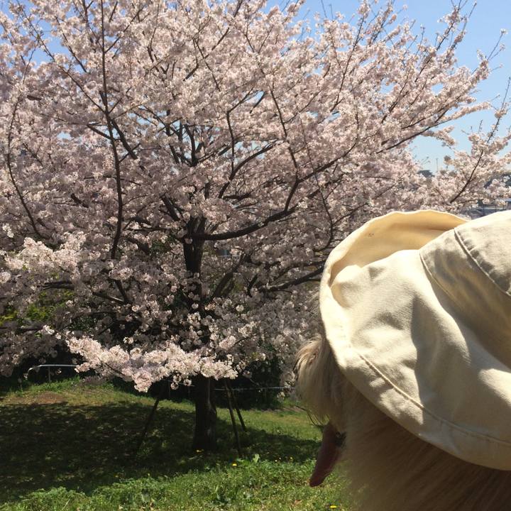 3a108cb2 e61b 4d0c b73d 4d7b095ce562