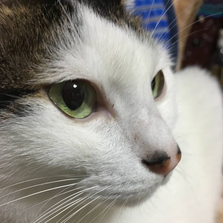 3a109ebc 8d1c 43c6 bc22 cf94f358f228