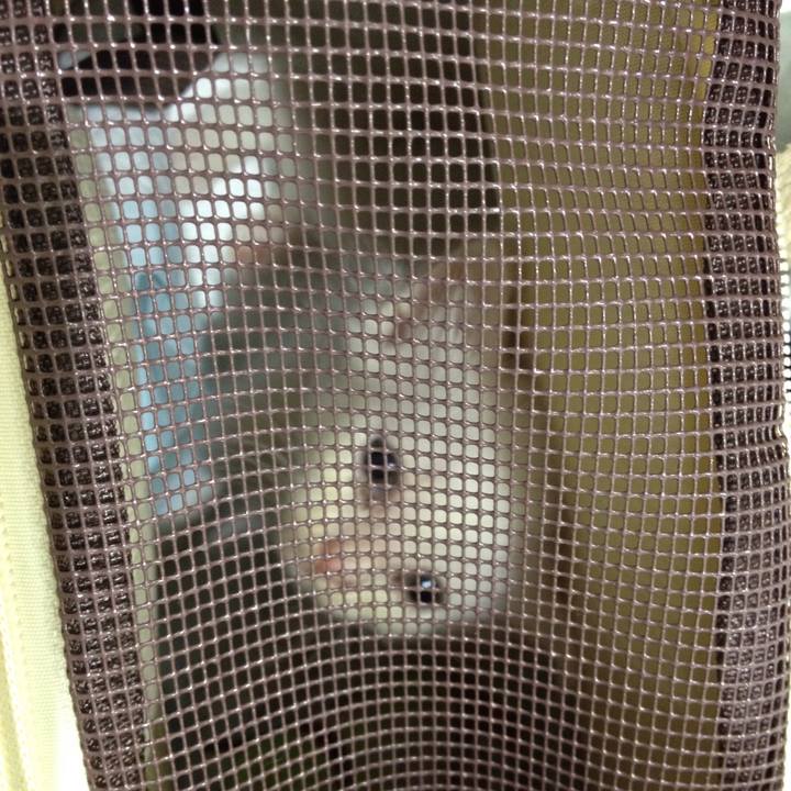 3a113948 02c2 40ae a058 f9b7bd42ff72