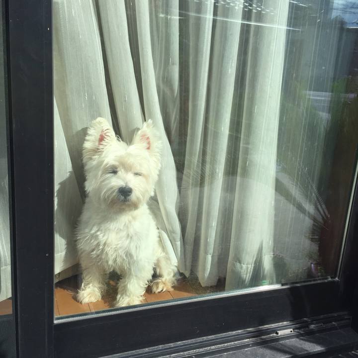 3a117f85 db21 4382 80cf 17b3e361c216