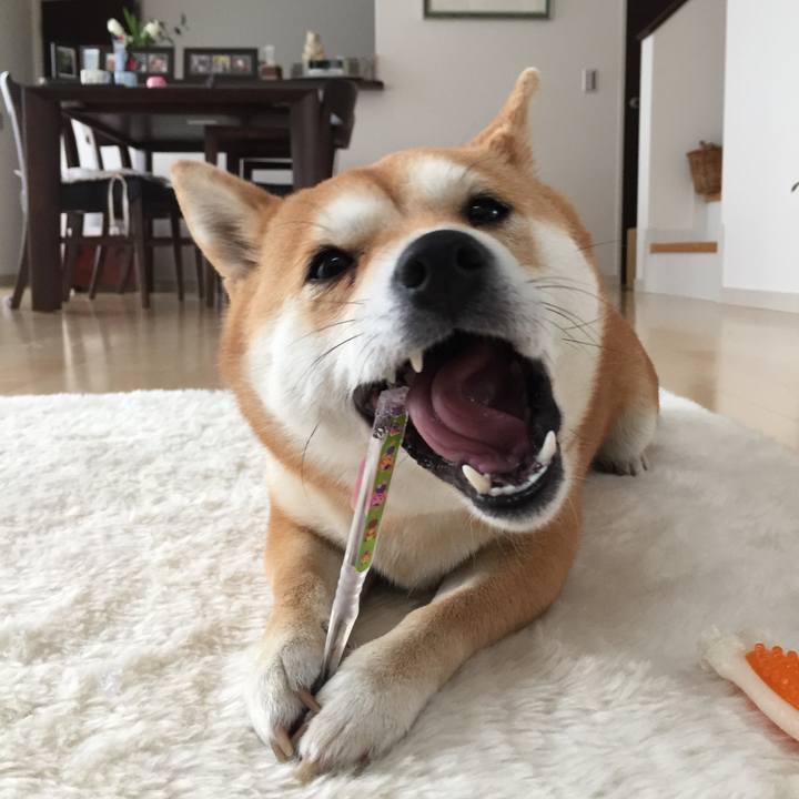 3a134475 22cd 45e1 910b d10367ed55f7