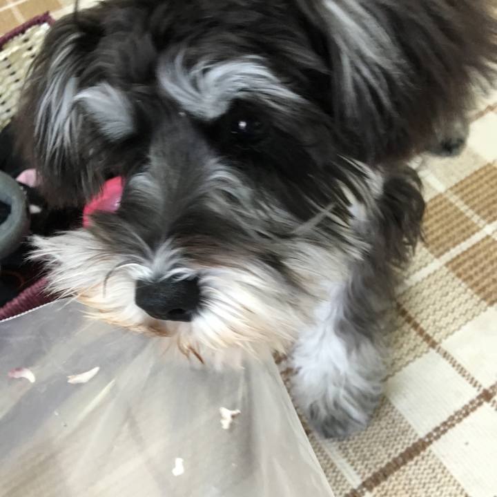 3a13d222 8030 4af2 8a80 8a5caacbd7e9