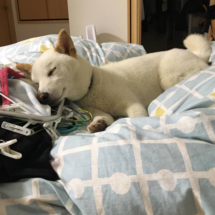 3a13f0af 794b 4696 8d54 5002aac06e7d