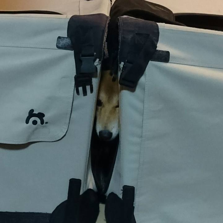 3a148e67 1aae 4240 9212 23a1a16d067e