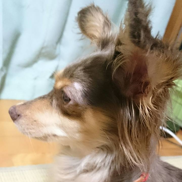 3a14db1e c823 4ba0 a930 fb592452ea48