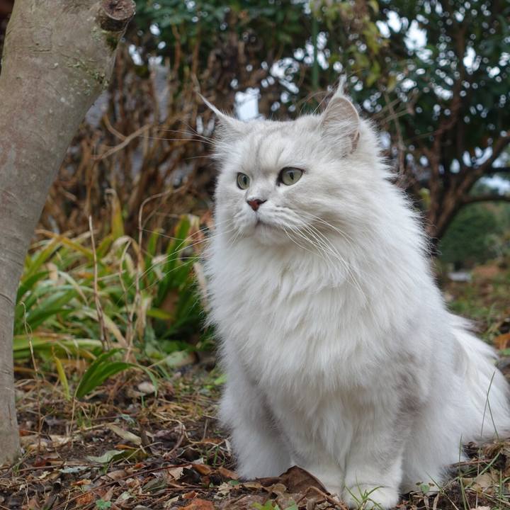 3a151224 1726 4aeb 9920 8b30b7bb0ec3