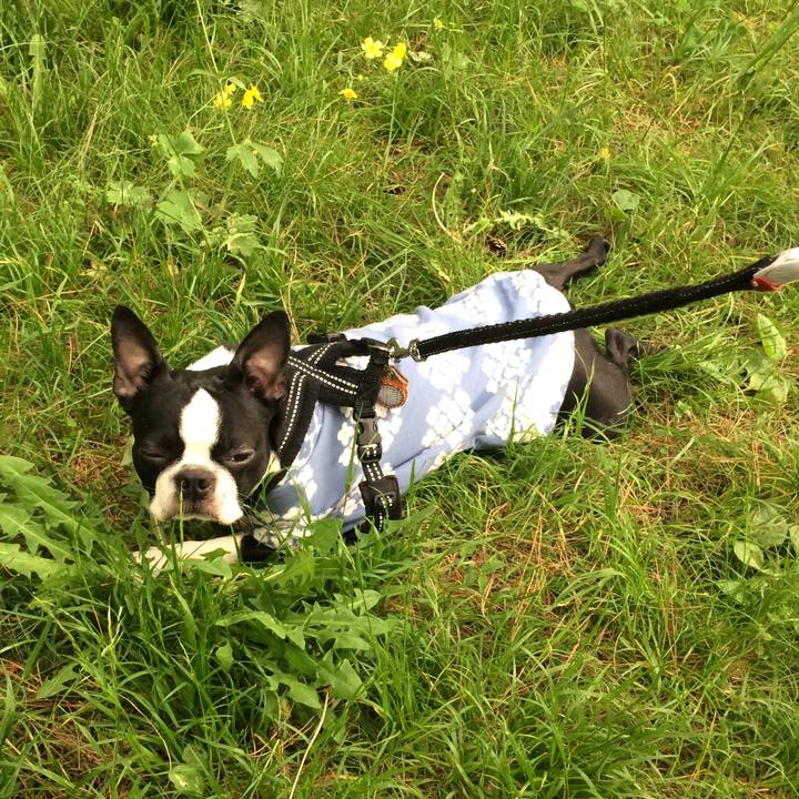 3a15d4b3 12ce 4f34 bffd c333a2bab0de