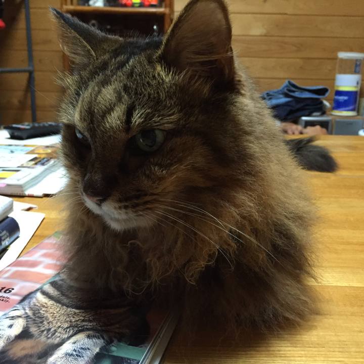 3a160b9e 4673 4008 b3e5 ee15c3412273