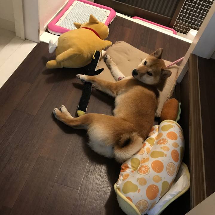 3a162116 21f4 4b48 826c 770289c3bd87