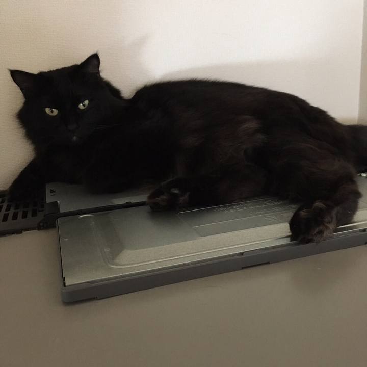 3a172236 a607 4ca3 b676 c1b9505052ad