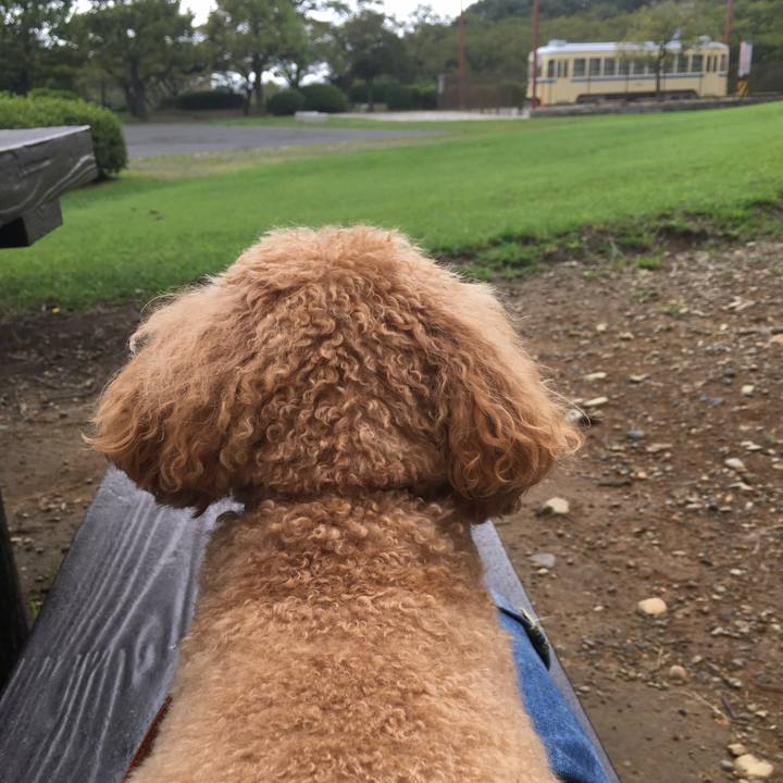 3a173640 54dd 4689 ad5b 1fd46c7337d8