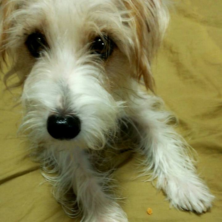 3a17e15d fb2f 440f b500 dc72da29023e