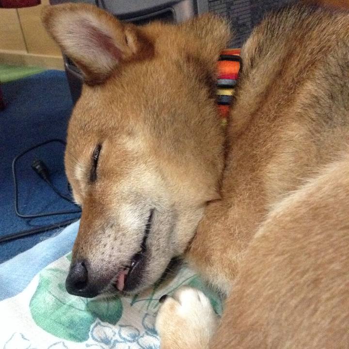 3a17f351 17e8 40bb af81 7edd69f678a0