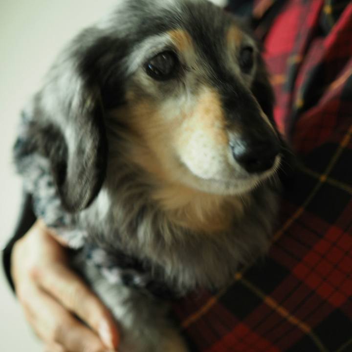 3a1877c1 9f5f 4e37 8c79 cf1f33b9a010