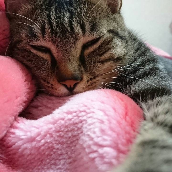 3a18c50f 17a1 4411 b64d e973d963d24e