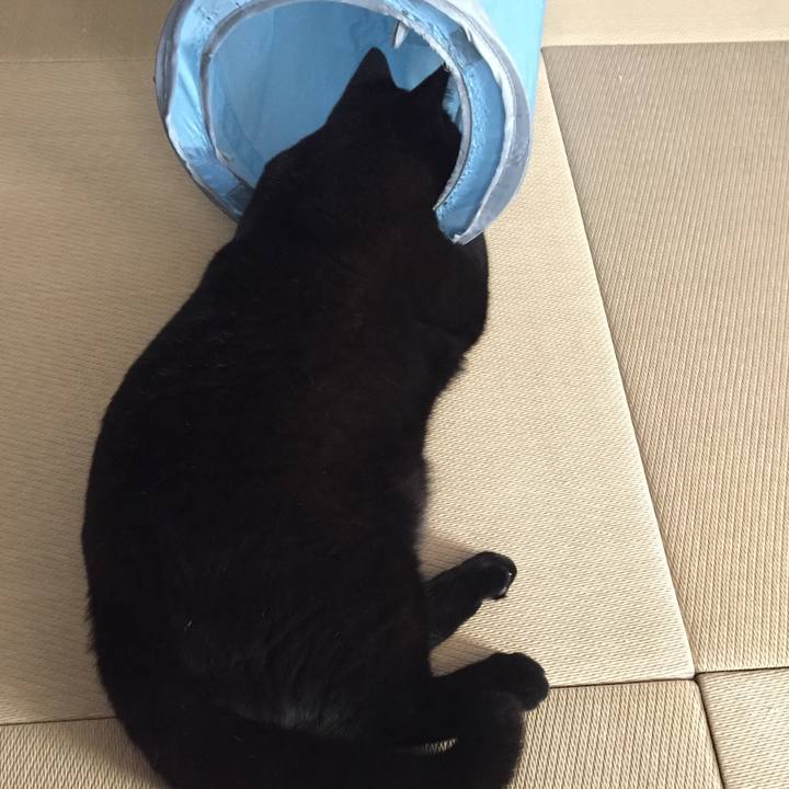 3a18cbc1 72ff 4b9c b79a 09f25b49c4a7