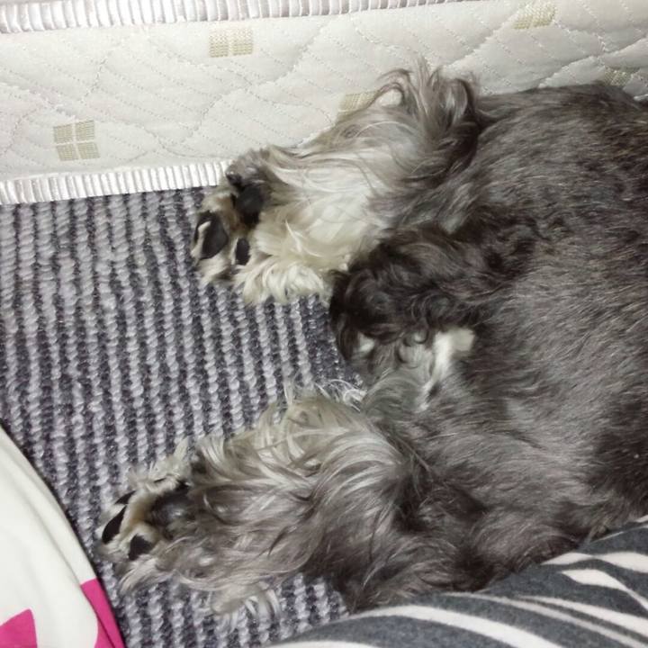 3a18fc2e cf35 4be9 87ae cb72e24ec418