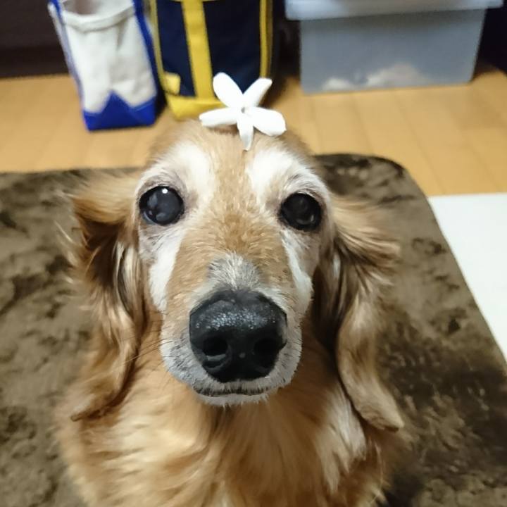 3a193c67 ff78 42a7 b54d 370362e90e46