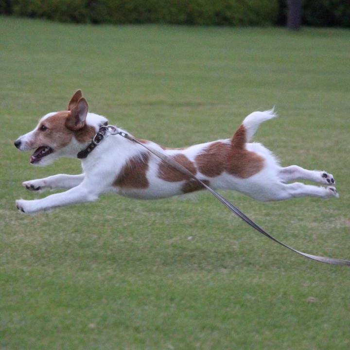 3a195166 1249 4e23 8916 572168455897