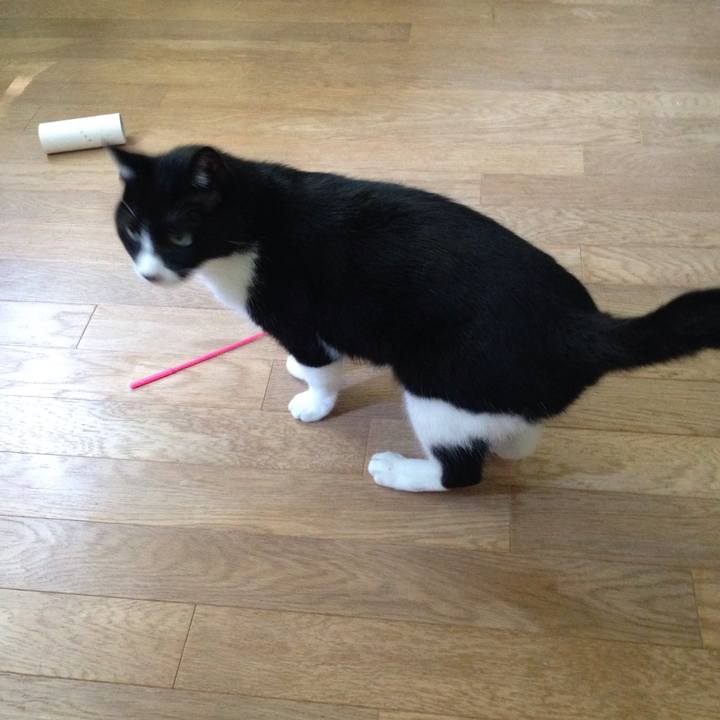 3a1a0b24 2b85 4476 b215 adc0c0cf92a4