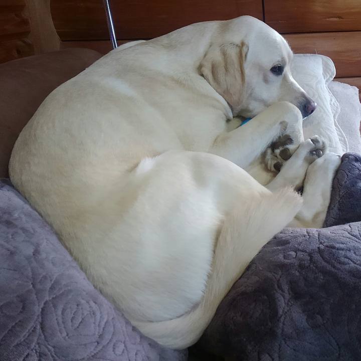 3a1a206c d12f 4f3b 8c09 d84edd3eb40e