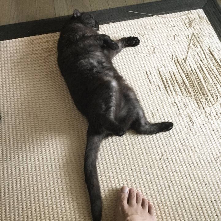 3a1a5abc f35c 4292 a2ec c0e9d0d35b23