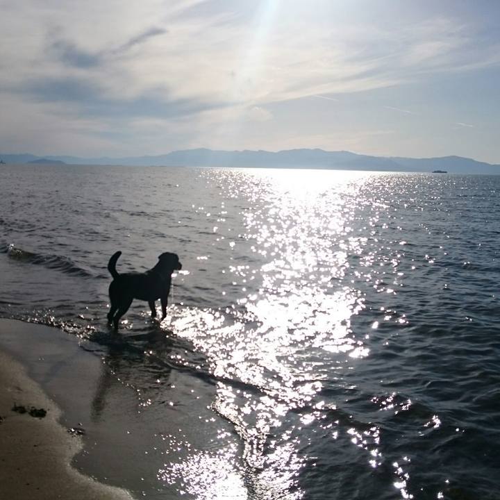 3a1a8437 d558 4d3c ace4 5eb851fec7e6