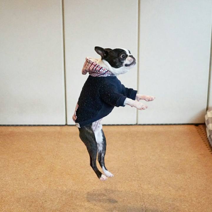 3a1ab1ed 2d0b 4221 830e cc4ea3b27e3c