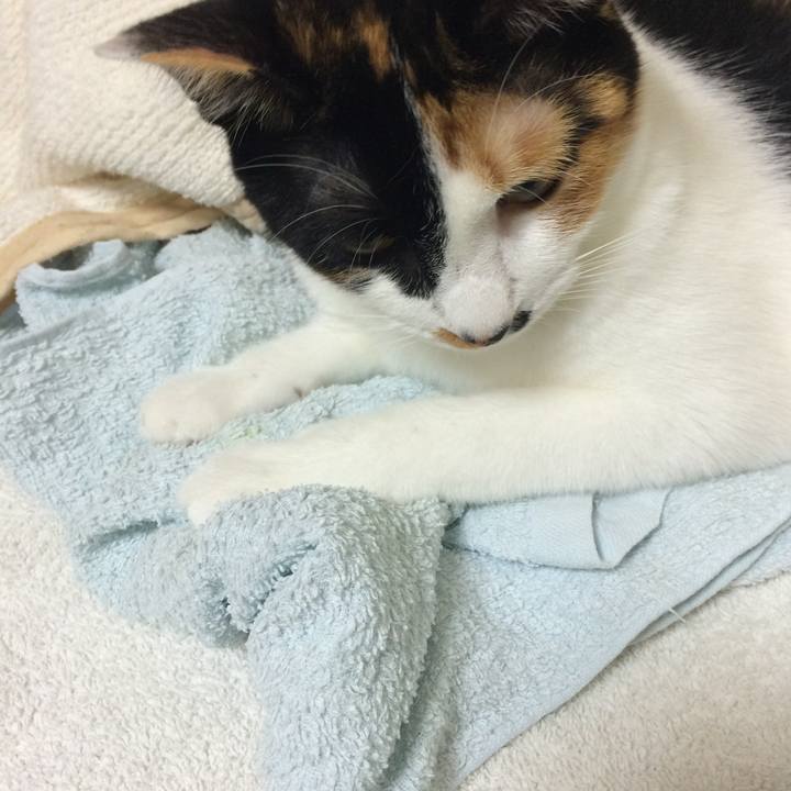 3a1b92fc 64f8 4124 8d74 7a0fd94596bc