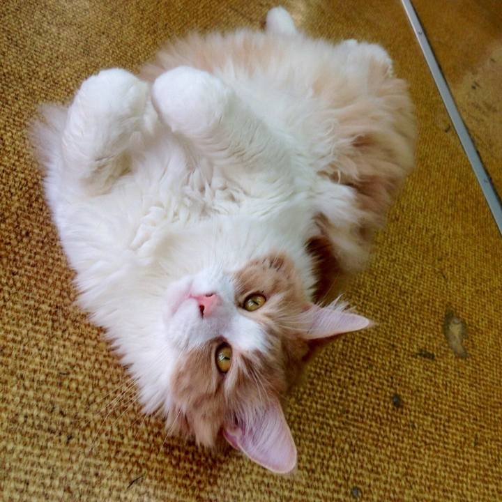 3a1b9c63 1c18 4fb2 a9b8 bc049f7941fc