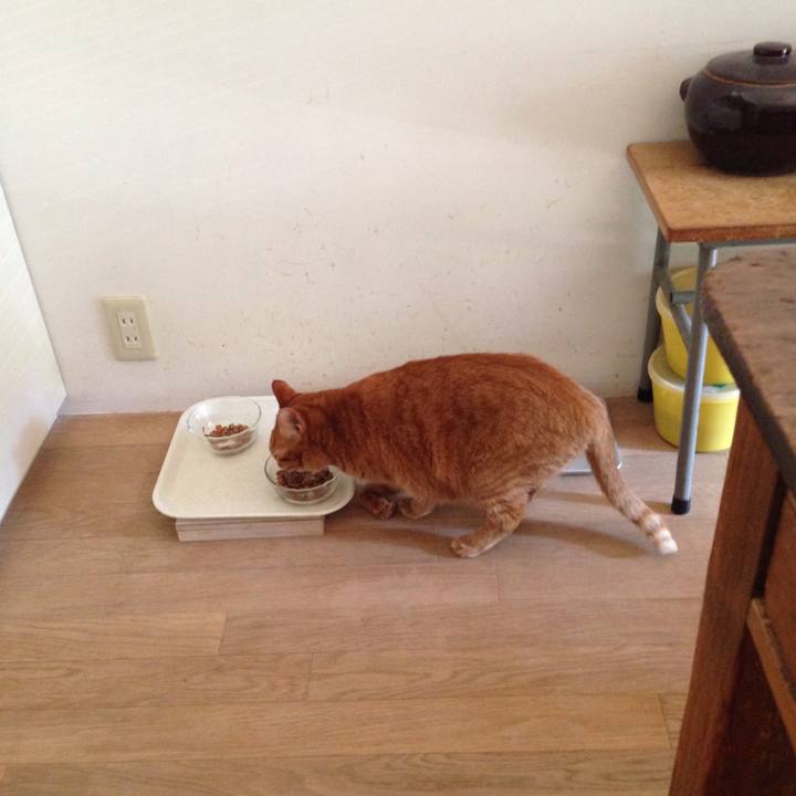 3a1bddfd e081 4dfe acb6 60d799400980