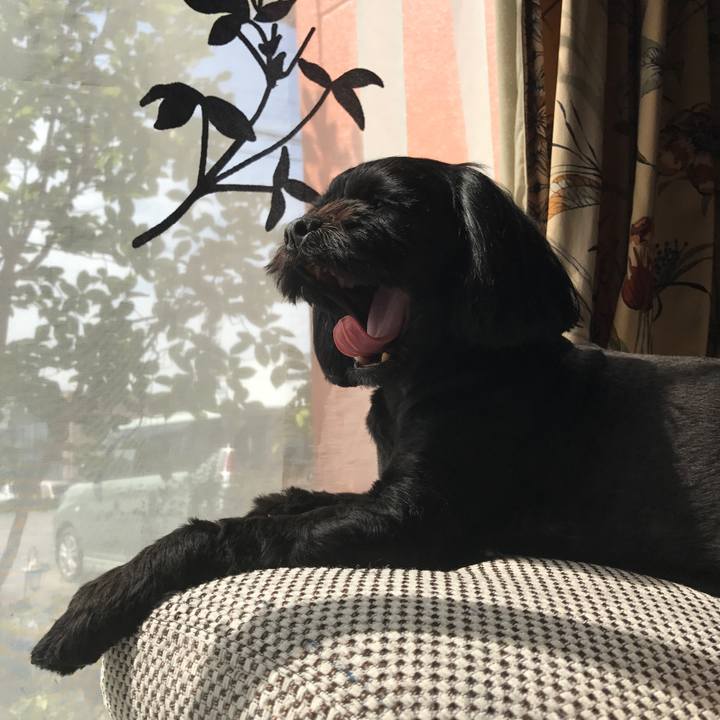 3a1ca8cb abe8 4768 b704 f3b74bf86e80