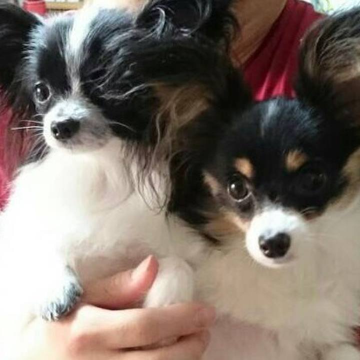 3a1cdc65 e4b7 4b4f 836d 8882f7983caa