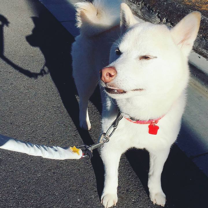 3a1d3d8c 5fbb 4fb8 974c f7823a01190a