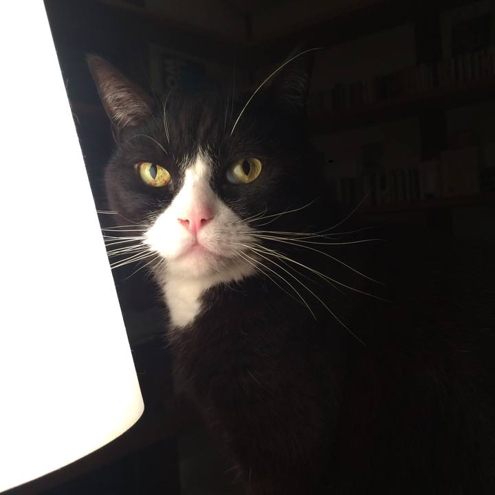 3a1e6da6 448c 47a5 b6ff ac1bfbfb6051