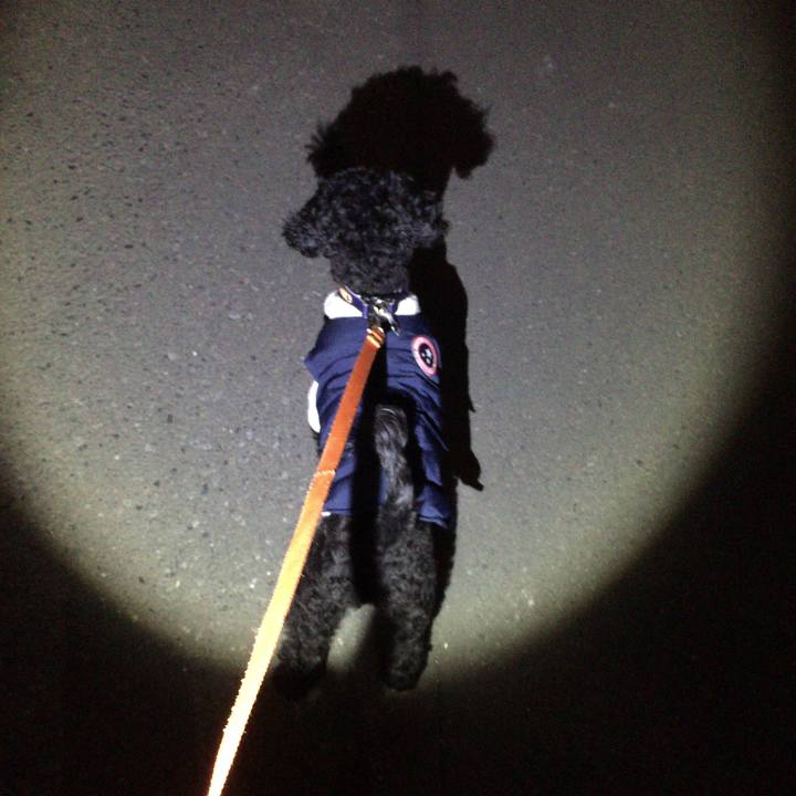 3a1ecb36 68a8 465f 9a25 edfbf4938852