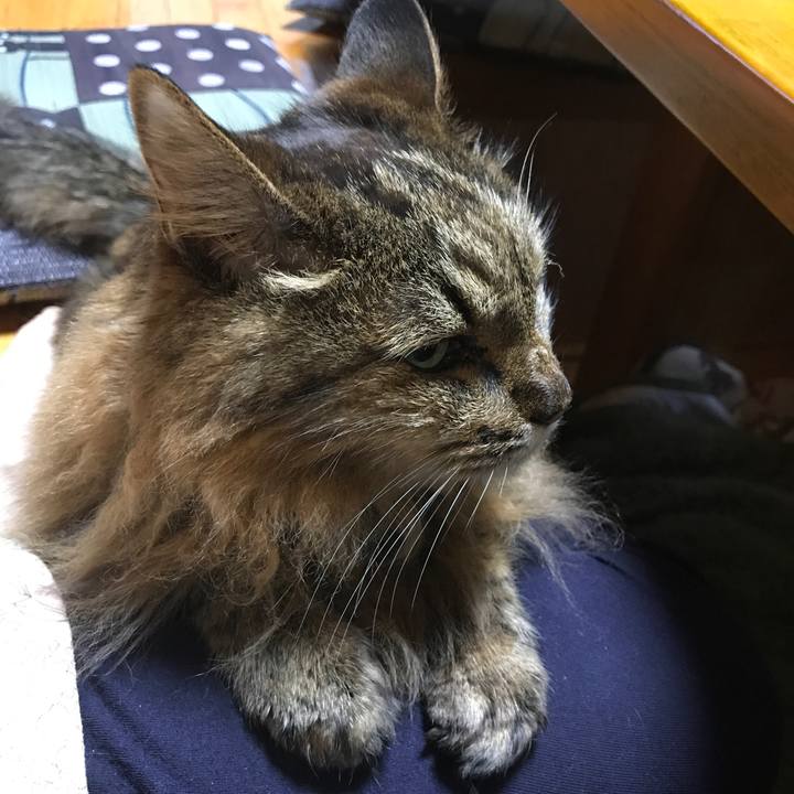 3a1eec36 e159 47f0 bd48 3b8e241409cd