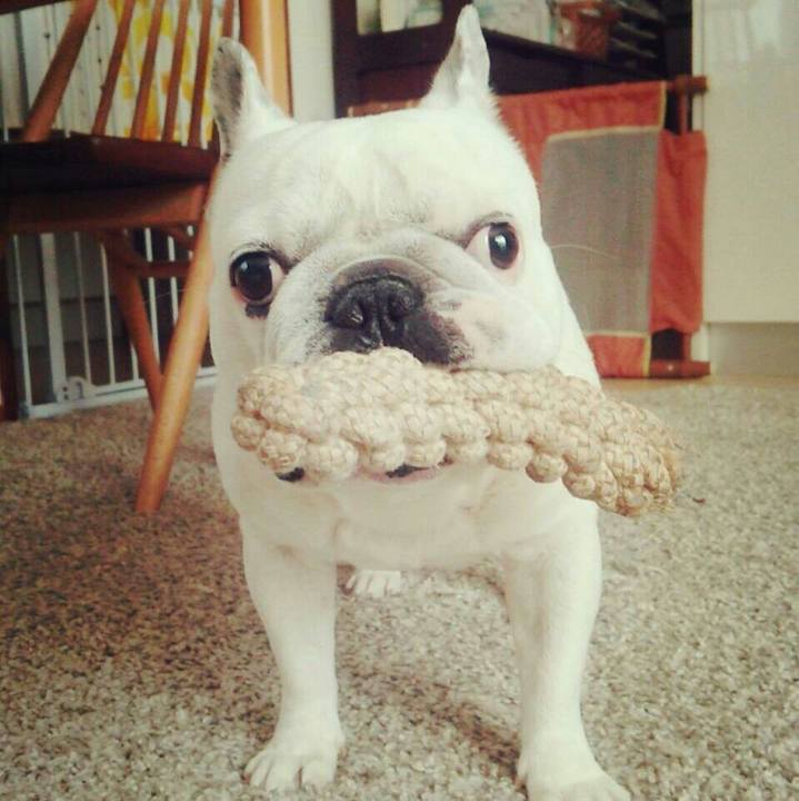 3a1f17e7 76d0 4f9f 89d2 546704ca5d3b