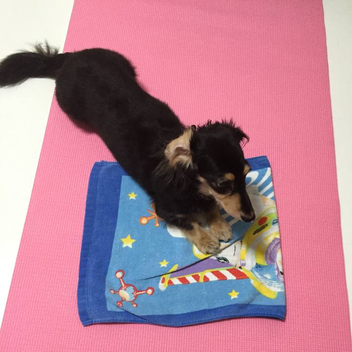 3a21261f 39c6 4154 a3b4 d9c6a44826a9